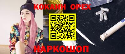 индика Заволжье