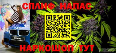 индика Заволжье