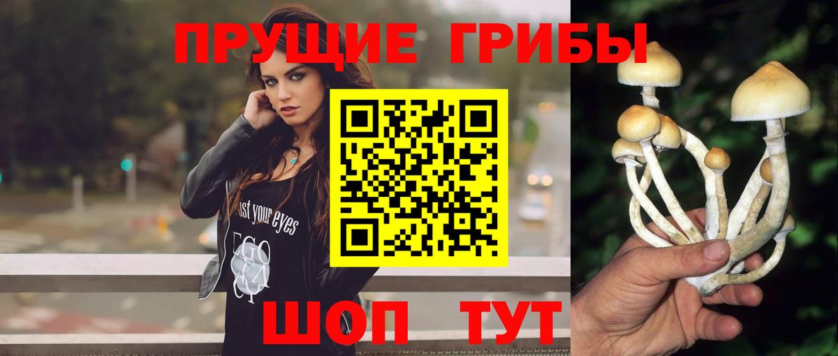 Псилоцибиновые грибы Psilocybine cubensis  Псилоцибиновые грибы Magic Shrooms  Курган  Вход с VPN 