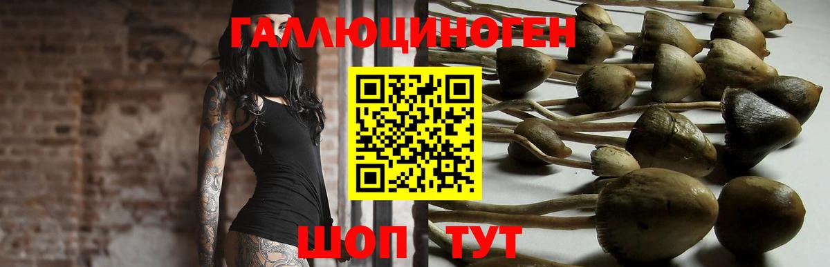 Галлюциногенные грибы ЛСД Курган